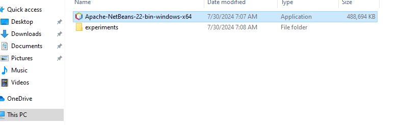 The NetBeans installer