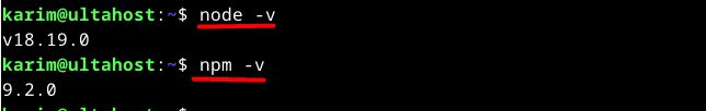 The Node.js and npm versions