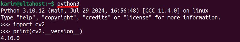 The OpenCV version