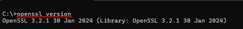 The OpenSSL version