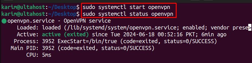 The OpenVPN service status