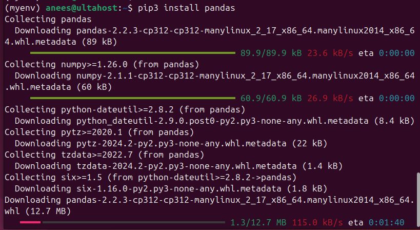 Installing pandas in the environment