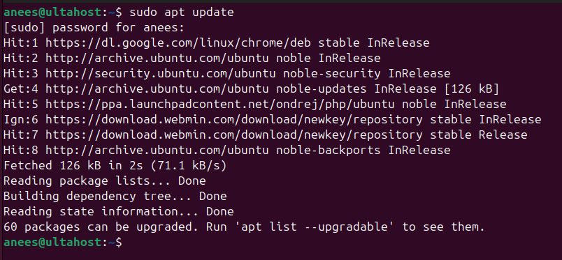 Updating the system packages