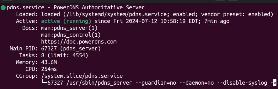 The PowerDNS status