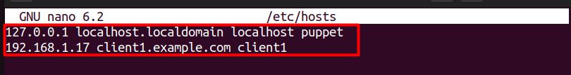 The hosts file on the Puppet server