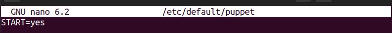 The default Puppet settings
