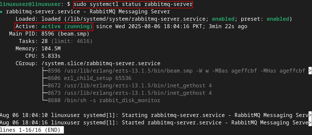 The RabbitMQ status