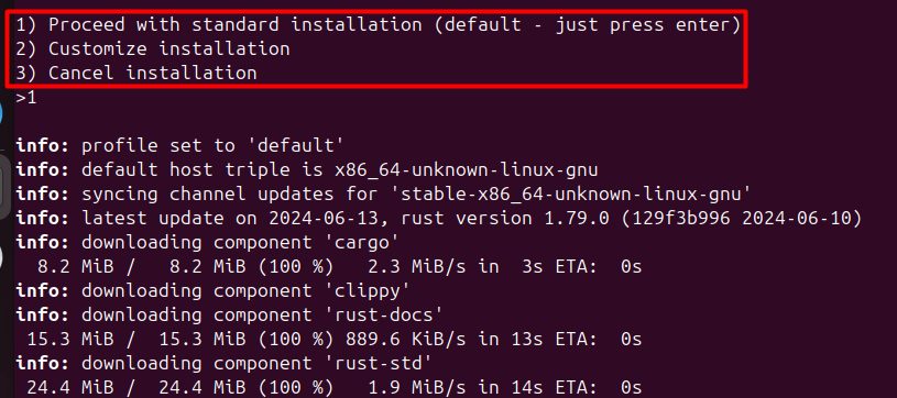 Choosing the installation option