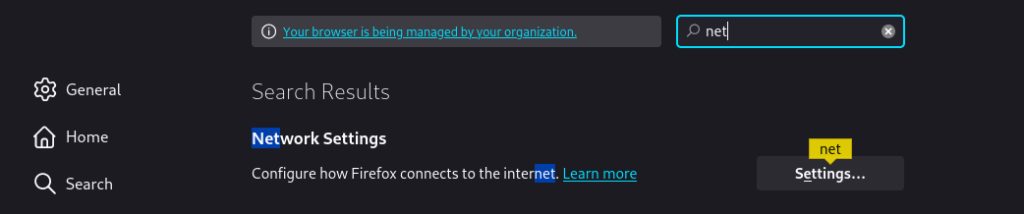 Network settings in Firefox