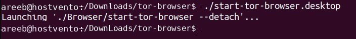 Starting Tor Browser