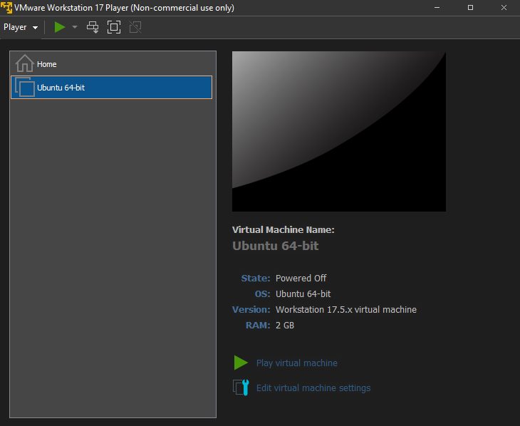 A Linux guest running in VMware