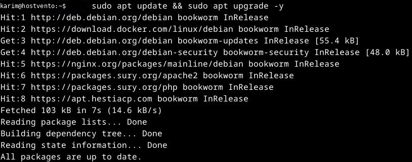 Updating Debian
