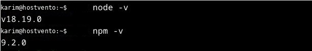 The Node.js and npm versions