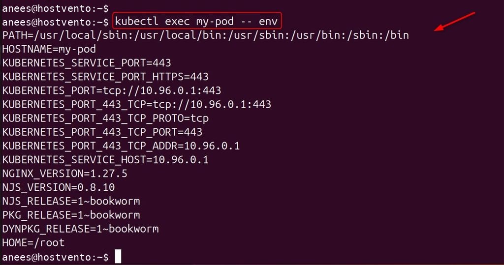 Showing the environment variables