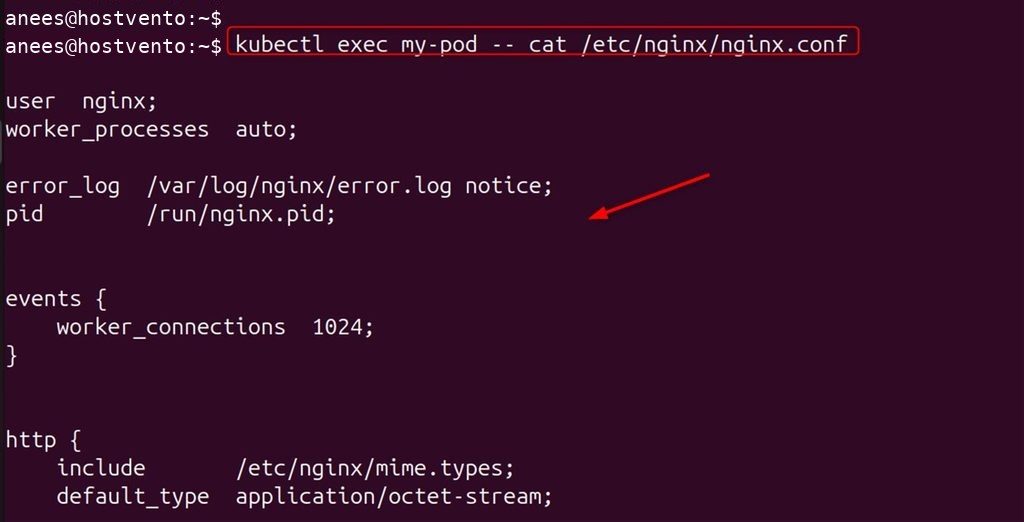 Reading the Nginx configuration