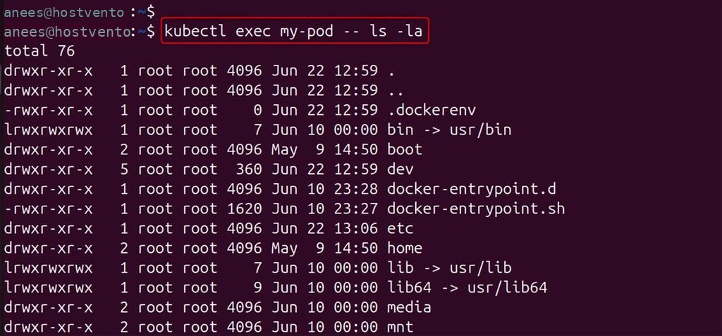 Listing the files in the pod
