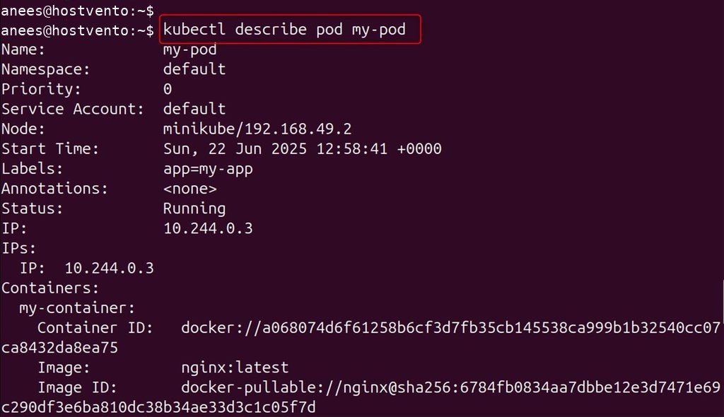 Listing the containers of the pod