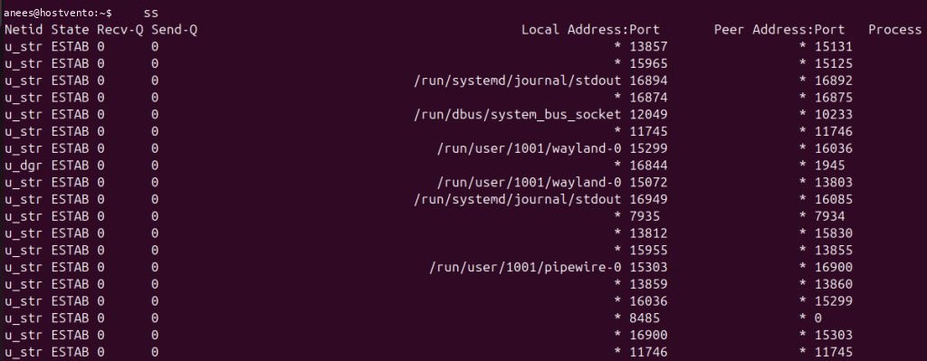 Basic ss output