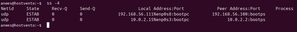 IPv4 sockets