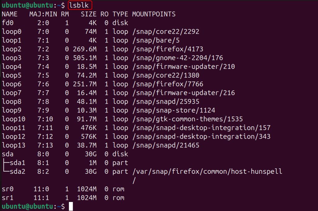 Checking the disk partitions with lsblk