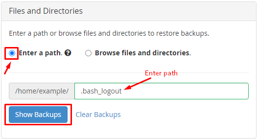 Screenshot: If your version of WHM does not show this tool, look under Backup in the left menu for Bac