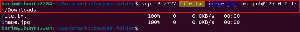 Copying two files from one folder