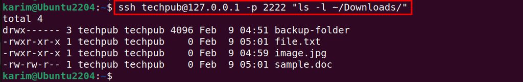 The copied files on the remote server