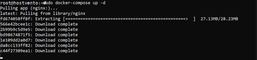 Pulling the Nginx image and starting the app