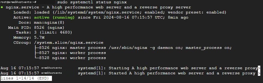 The Nginx service status