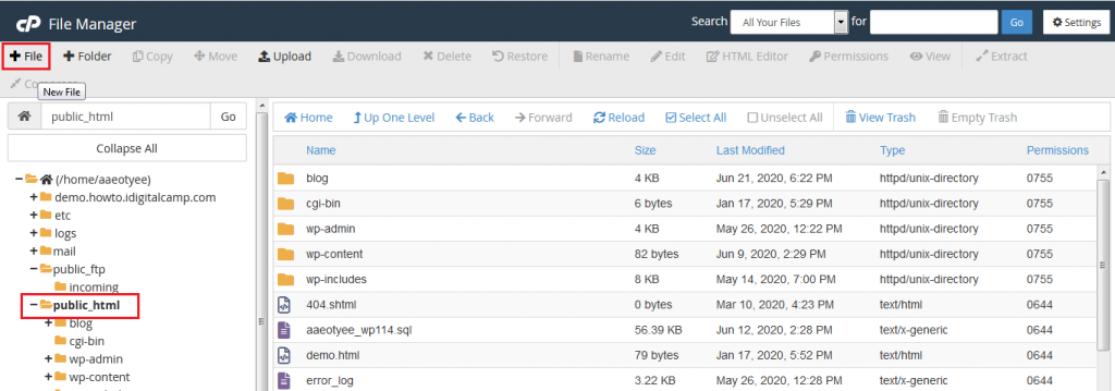 Screenshot: Go to the public_html folder of your domain.