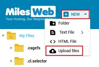 Screenshot: Click the Upload Files button at the top.