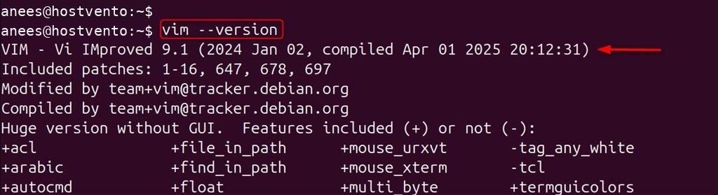 The Vim version