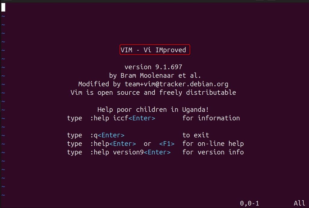 Opening Vim