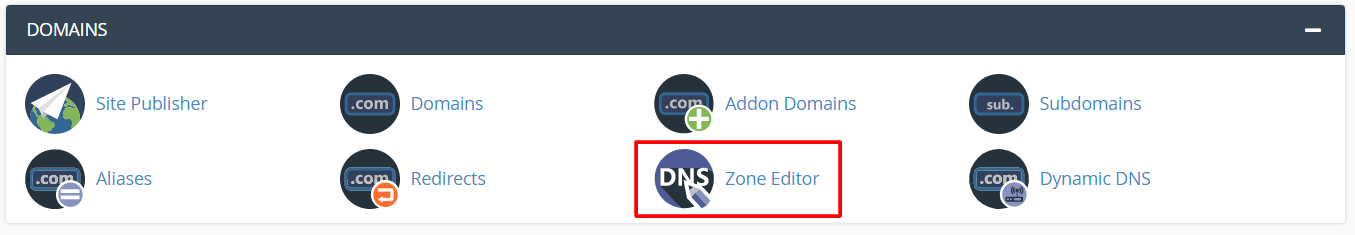 Screenshot: Click Add Record and choose Add SRV Record .